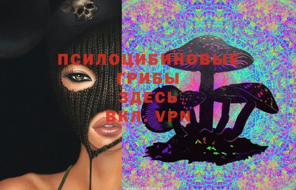 тгк Беломорск
