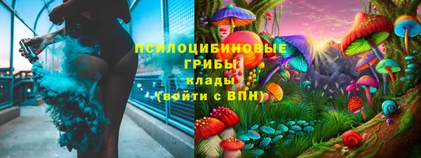 первитин Богородск
