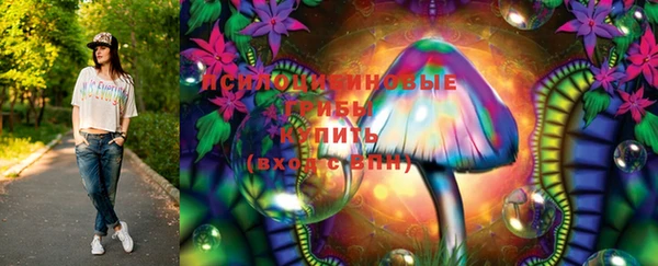 героин Богданович